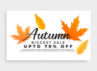 autumn sale banner with seasonal leaves