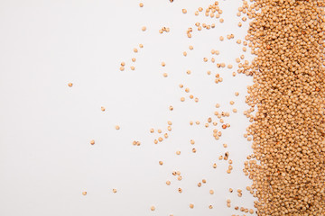 Corn seeds scattered over white background