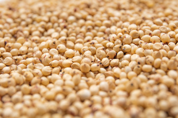 Macro view of natural organic kidney soya beans on background