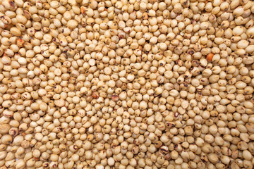 Macro view of natural organic kidney soya beans on background