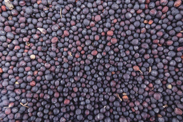 Macro view of natural organic rape seeds on background