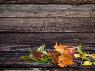 Autumn background with dry leaves, Cup with drink, rain drops on dark brown bench. Copy space, side view