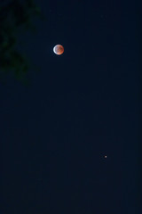 Blutmond und Mars