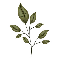 branch with leafs ecology icon vector illustration design