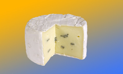 Schimmelkäse