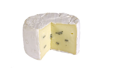 Schimmelkäse
