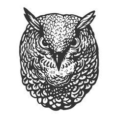 Owl bird head animal engraving vector