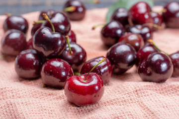 Giant fresh ripe black cherries, new harvest, ready to eat close up