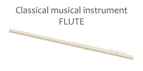Flute. Vector illustration of classical musical instrument flute in flat style isolated on white background. Wind musical instrument. Concept of music and entertainment.  © tinkivinki