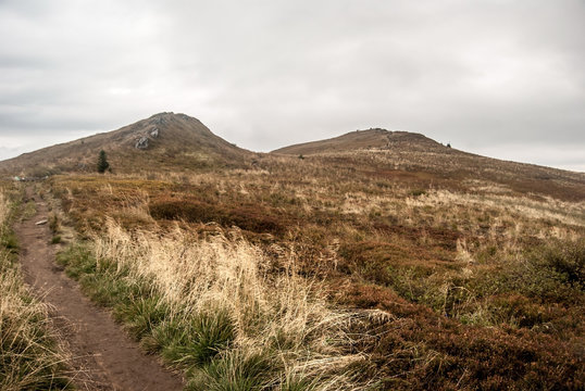 Rozsypaniec and Halicz hills with mountain meadows and rocks in autumn Bieszczady mountains in Poland