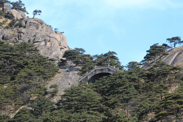 Avatar mount,China