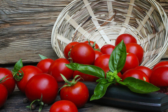 pomidory i zioła