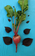 Beetroot and basil - organic vegetarian nutrient-rich foods concept, top view background.
