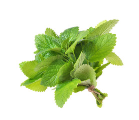 .Twig from mint leaves isolated on white background