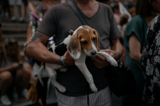Man carrying a puppy