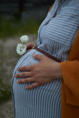 close-up of big pregnant belly woman in striped dress
