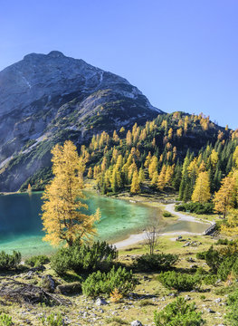 Goldener Oktober an einem Gebirgssee in Tirol