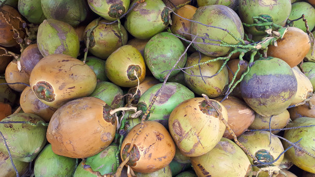 Ein haufen mit mehreren Kokosn&uuml;ssen in verschiedenen Farben