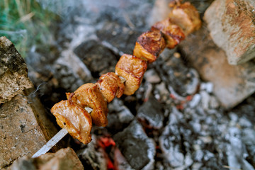 Shish kebab on the fire nature
