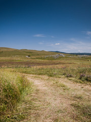 Fototapeta premium Country scene with blue sky and green fields