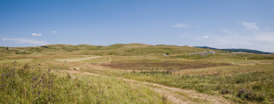 Meadow panorama