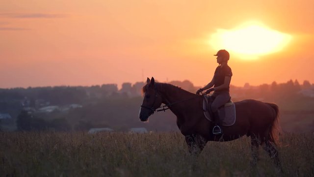 Sunset field with a stallion and a jockey girl riding it