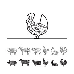 Diagrams for butcher shop -  turkey. Meat cuts. Animal silhouette, pig, cow, lamb, chicken, turkey, rabbit. Vector illustration.