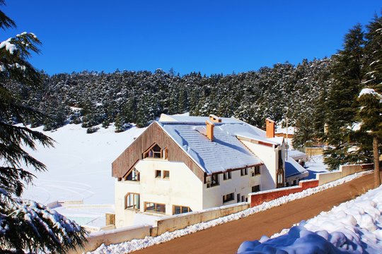 relaxing vacation in middle of snow