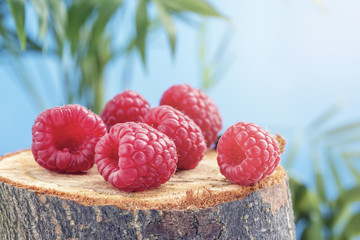 Fresh large red berries of ripe raspberries close-up.