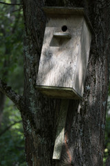 wooden birdhouse on a tree in the forest and park