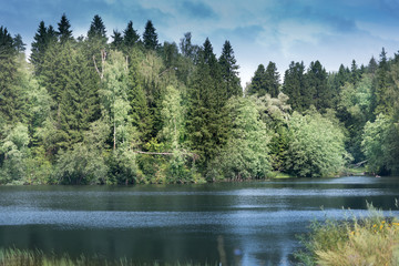The beautiful picture of forest at the edge of a lake