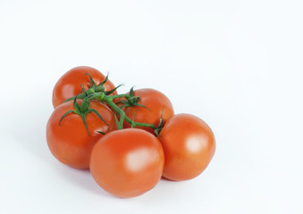 tomatoes on a branch .isolated white background
