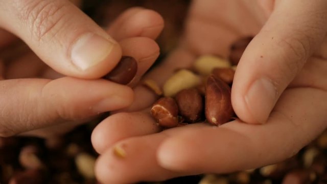 Man cleans roasted peanuts. Close-up.