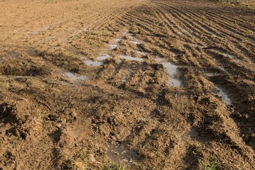 Plowed field in sunshine with ripples