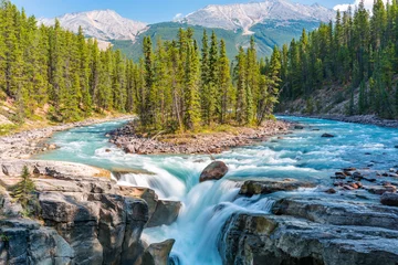 Foto auf Glas Sunwapta Falls, Rocky Mountains Kanada © Richard