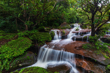 Fototapeta na wymiar Tad-Wiman-Thip waterfall, Beautiful waterfall in Bung-Kan province, ThaiLand.