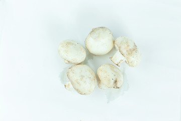 fresh mushrooms.isolated on a white background.