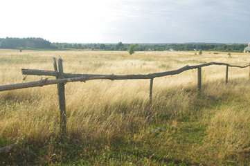 rural summer landscape