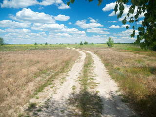 country road through the fields
