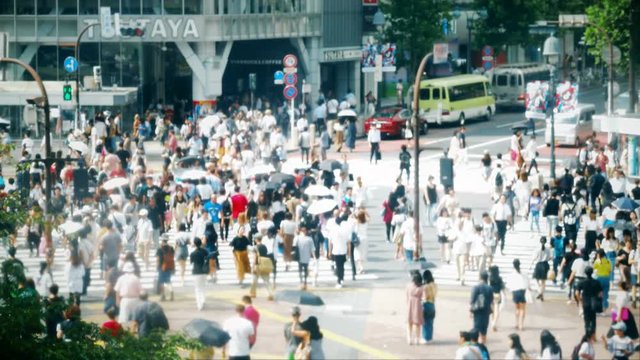 東京・渋谷スクランブル交差点　8月　アウトフォーカス カラーグレーディング