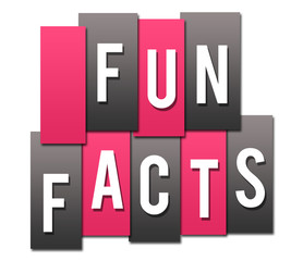 Fun Facts Pink Grey Stripes Group 