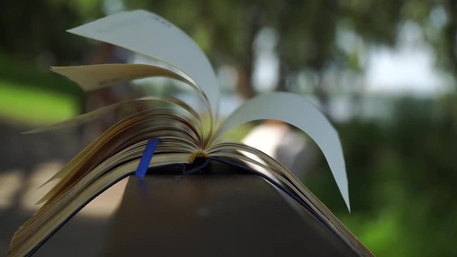 Wind turns the pages of open Notebook lies on wooden handrail in park, business concept