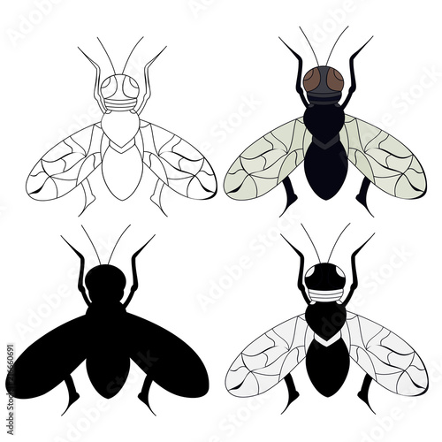 Isolated Insect Fly Sketch Stock Image And Royalty Free