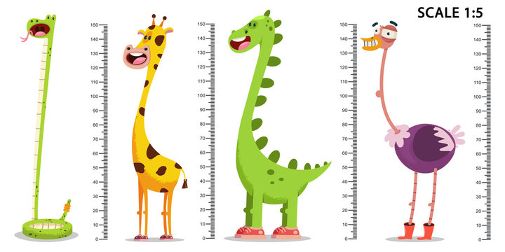 Kids meter wall with a cute cartoon giraffe, dinosaur, ostrich, snake and measuring ruler. Vector set illustration of an animal isolated on a white background.