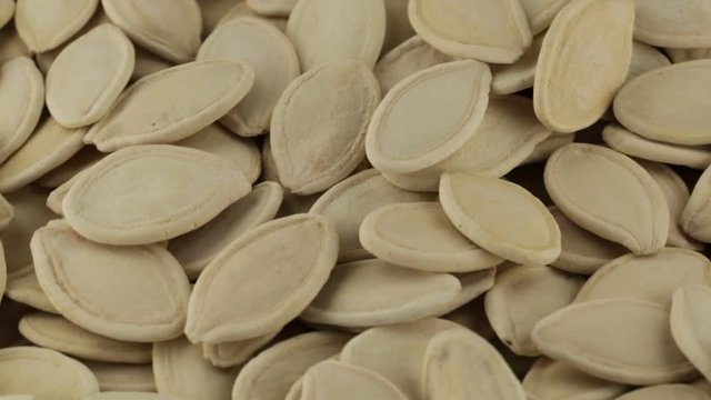 Semi di zucca secchi