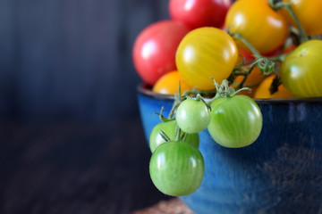 Close-up of cherry tomatoes of three colours in a blue bowl. Copy space