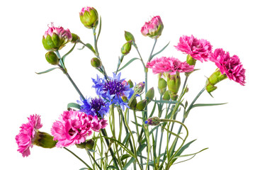 Obraz premium Bouquet of pink and blue garden flowers isolated on a white background