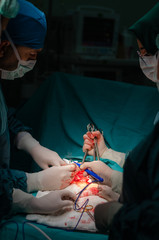 Team surgeon at work in operating room.