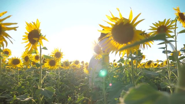 Little girl running cross the wheat field at sunset.Slow motion,high speed camera