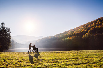 Senior couple with wheelchair in autumn nature. - obrazy, fototapety, plakaty